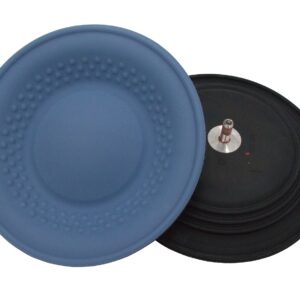 PTFE/EPDM Overmold Diaphragm Kit for 2- to 4-inch Pump<p>Part Number: 25P267