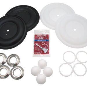 SaniForce 1590 FG Complete Fluid Repair Kit with SS Seat, PT Ball, PT Diaphragm, PT Seal<p>Part Number: FK2111